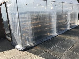Plastic greenhouse1