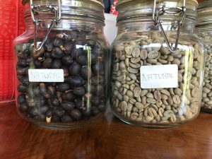 coffee beans natural