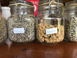 coffee beans washed